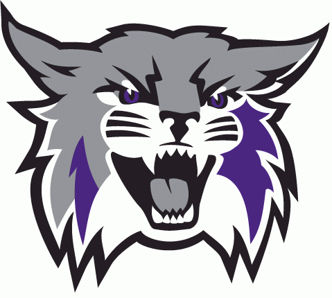 Weber State Wildcats 2012-Pres Primary Logo DIY iron on transfer (heat transfer)